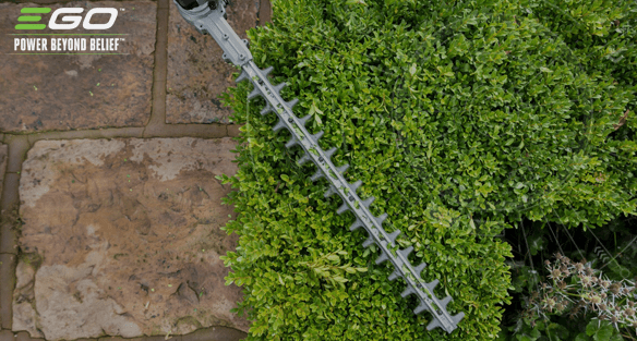 Best practice for your hedge trimming